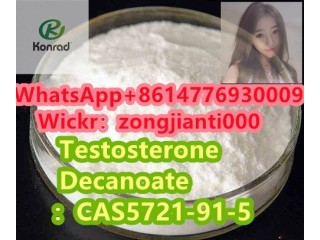 Testosterone DecanoateCAS5721-91-5