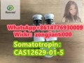 somatotropincas12629-01-5-small-2