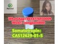 somatotropincas12629-01-5-small-3