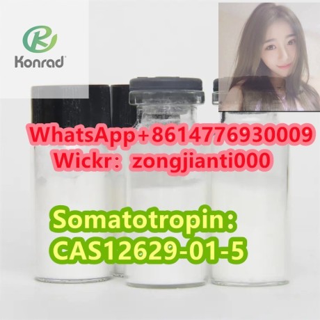 somatotropincas12629-01-5-big-0