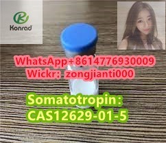 somatotropincas12629-01-5-big-3