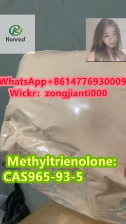 methyltrienolonecas965-93-5-big-2