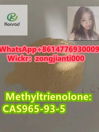 methyltrienolonecas965-93-5-big-1