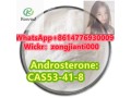 androsteronecas53-41-8-small-2