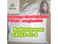 androsteronecas53-41-8-small-1