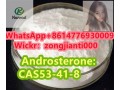 androsteronecas53-41-8-small-3