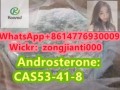 androsteronecas53-41-8-small-0