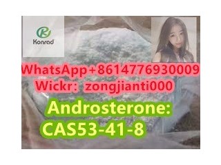 Androsterone:CAS53-41-8