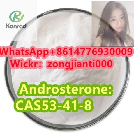 androsteronecas53-41-8-big-2