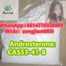 androsteronecas53-41-8-big-1