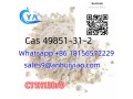 cas-49851-31-2-small-0