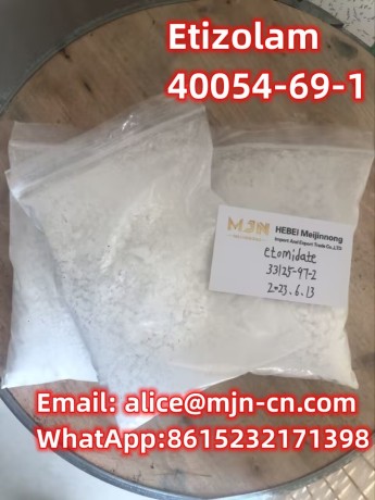 40054-69-1-etizolam-big-0