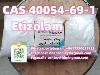 Cas 40054-69-1 Etizolam superior quality Pharmaceutical intermediate