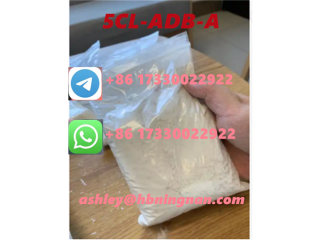 Cas 2504100-70-1 5CL-ADB-A  superior quality Pharmaceutical intermediate