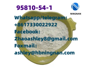 Cas 95810-54-1 Butonitazene Pharmaceutical intermediate raw material supplier from China