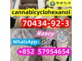 cannabicyclohexanol70434-92-35f-ab-pinaca5f-adb5cladb5cladba5cladbbadbbprecursor-small-0