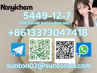 5449-12-7	                BMK Glycidic Acid (sodium salt)