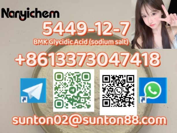 5449-12-7-bmk-glycidic-acid-sodium-salt-big-1