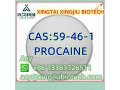 procaine-cas59-46-1-small-0