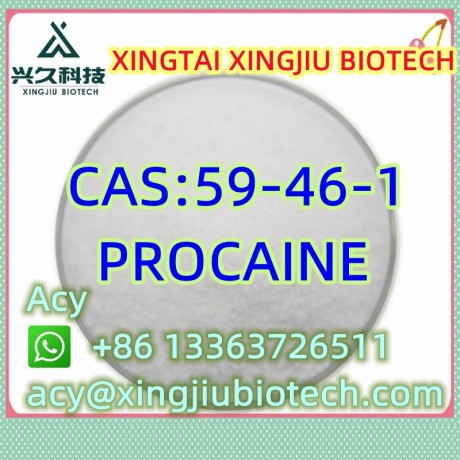 procaine-cas59-46-1-big-0