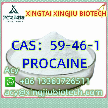 procaine-cas59-46-1-big-2