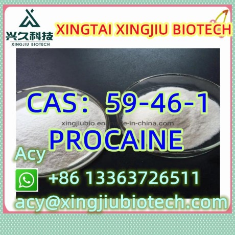 procaine-cas59-46-1-big-1