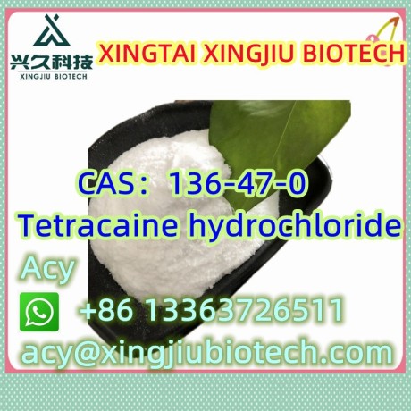 tetracaine-hydrochloride-cas136-47-0-big-1