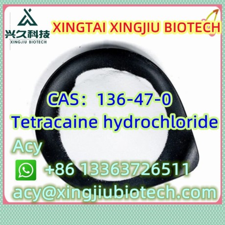 tetracaine-hydrochloride-cas136-47-0-big-0