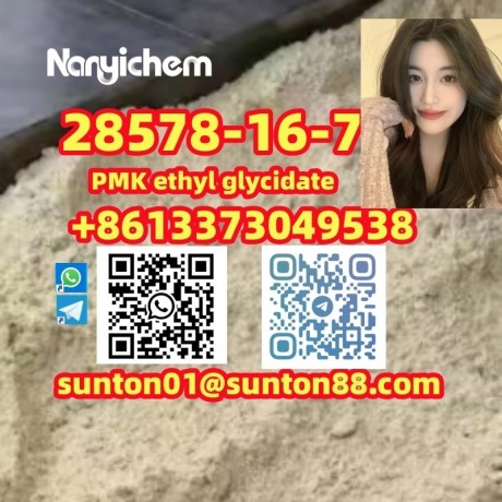 28578-16-7-pmk-ethyl-glycidate-28578-16-7-pmk-ethyl-glycidate-big-3