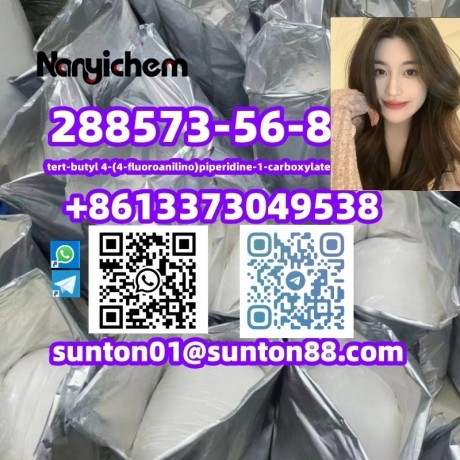 288573-56-8-tert-butyl-4-4-fluoroanilinopiperidine-1-carboxylate-big-0