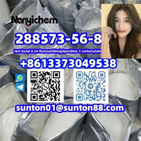 288573-56-8-tert-butyl-4-4-fluoroanilinopiperidine-1-carboxylate-big-1