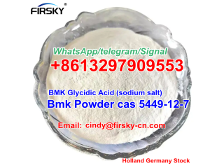 CAS 5449-12-7 BMK Glycidic Acid (sodium salt) WhatsApp/Telegram/Signal+8613297903553