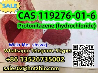 119276-01-6  Protonitazene (hydrochloride)hcl