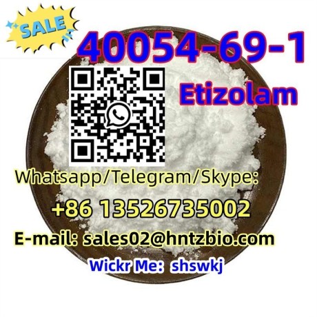 40054-69-1-etizolam-big-1