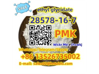 28578-16-7   PMK, ethyl glycidate