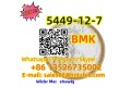 5449-12-7-bmk-small-1