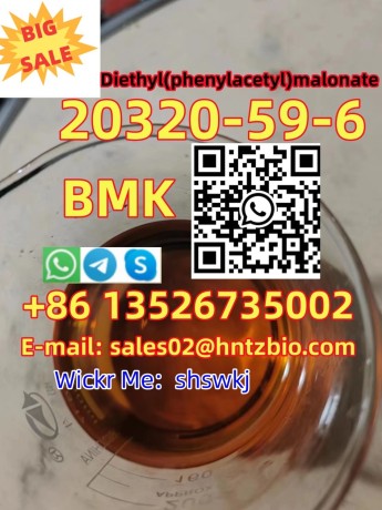 20320-59-6-bmk-diethylphenylacetylmalonate-big-1