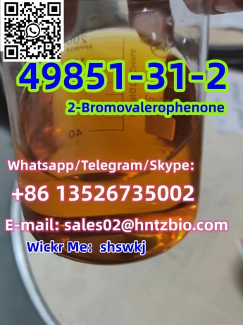 49851-31-2-2-bromo-1-phenyl-pentan-1-one-big-0