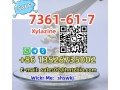 7361-61-7-xylazine-small-2