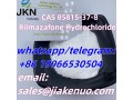 cas-85815-37-8rilmazafone-hydrochloride-small-1