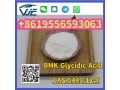 cas-5449-12-7-bmk-glycidic-acid-sodium-salt-powder-small-2