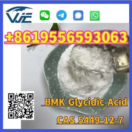 cas-5449-12-7-bmk-glycidic-acid-sodium-salt-powder-big-1