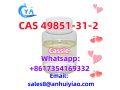 cas-49851-31-2-small-4