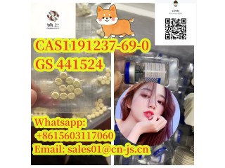 Hot sale CAS1191237-69-0 GS 441524