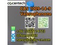 86-13667114723cass-1009-14-9-valerophenone-99-fast-and-safe-del-small-3