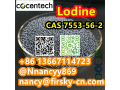 86-13667114723-manufacturer-supply-high-quality-cas-7553-56-2-with-good-price-small-3