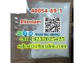 40054-69-1-etizolam-small-2