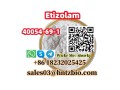 40054-69-1-etizolam-small-1