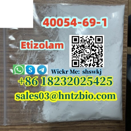 40054-69-1-etizolam-big-2