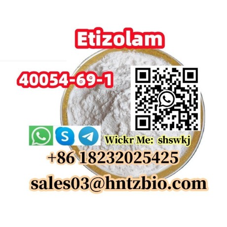 40054-69-1-etizolam-big-1